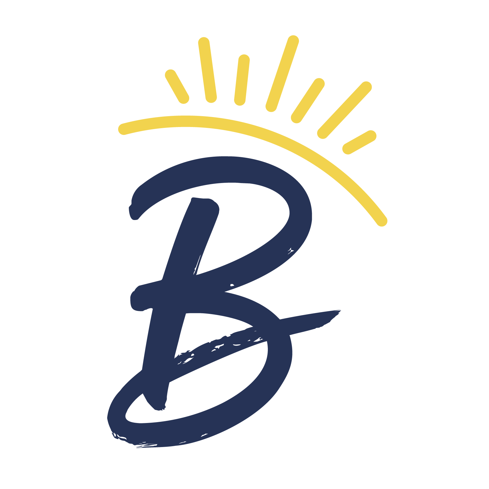 Brook Splash Pad logo