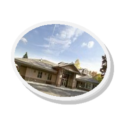 Carnagie Public Library of Steuben County logo