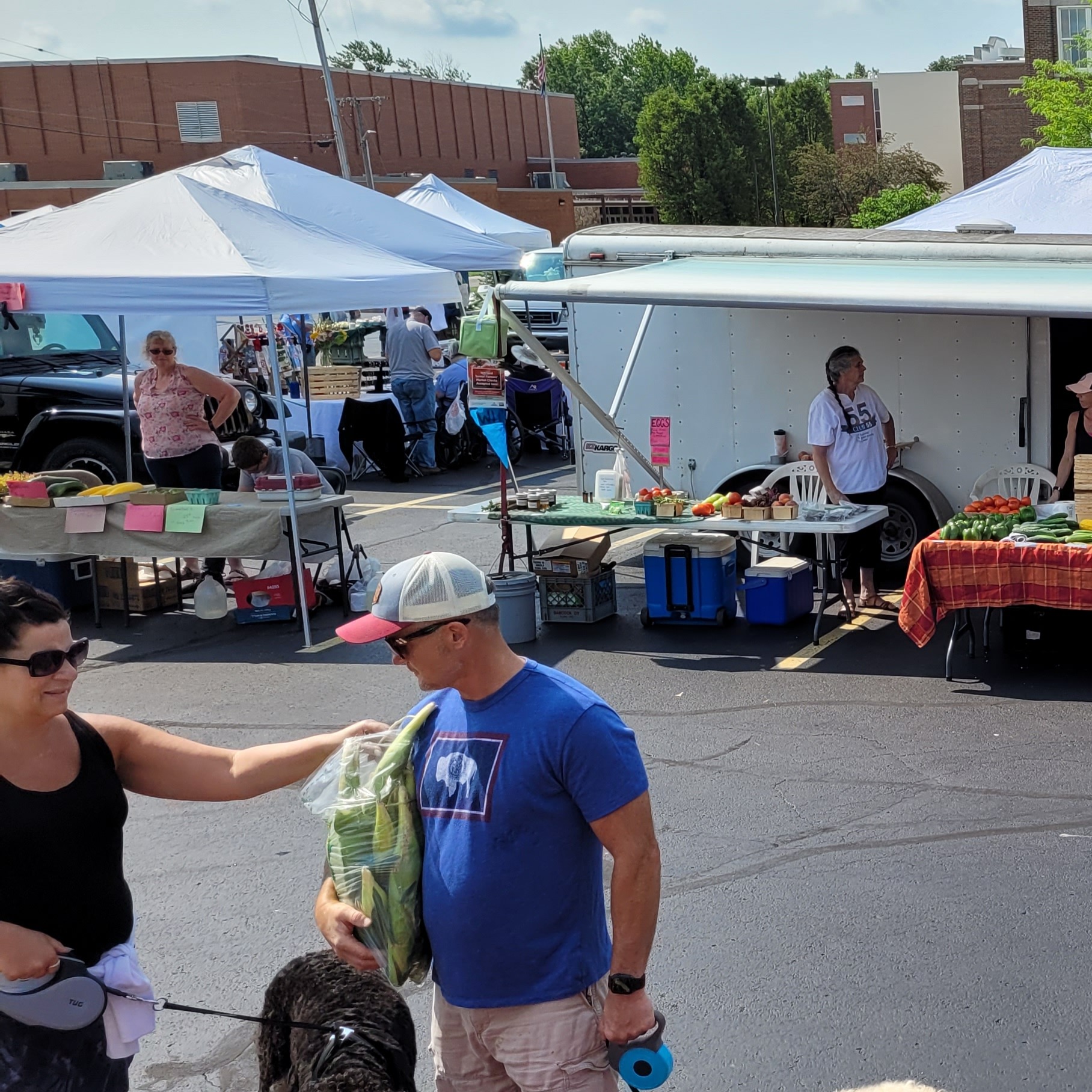 Steuben County Farmers Market logo