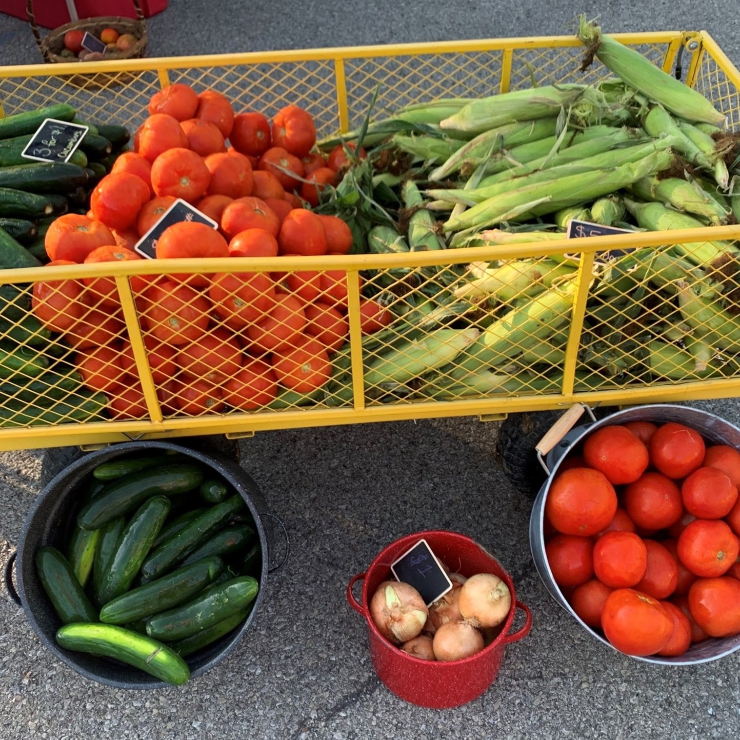 Farmer's Market- Middletown logo
