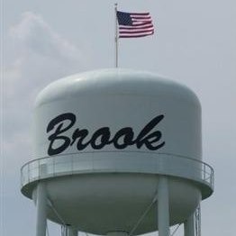 Brook Community Club logo